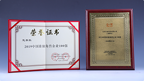 2019年中国准独角兽企业100强