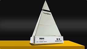TopDigital互联网服务创新奖