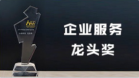 中国企业服务龙头奖