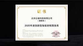 2020年度创新型智能财税服务商
